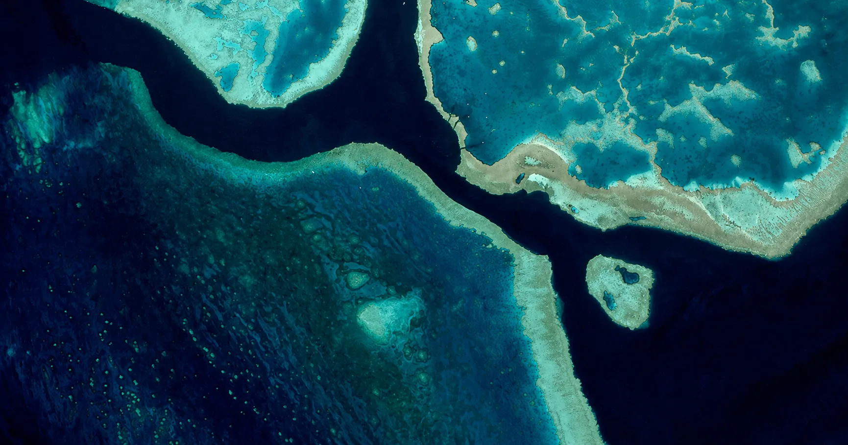 Cover for How Climate Asset Management Reduced Microsoft Licensing Costs by 10 – 15%